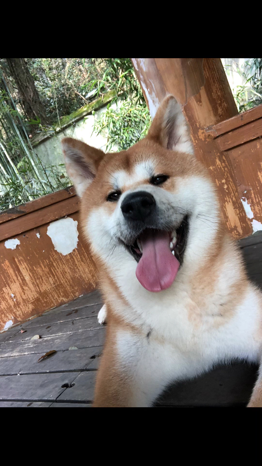 穿了衣服一脸的不高兴9898