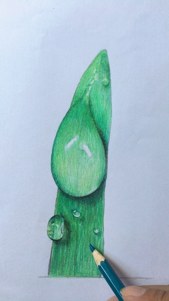 教你画露珠,不过小露珠成功抢镜!