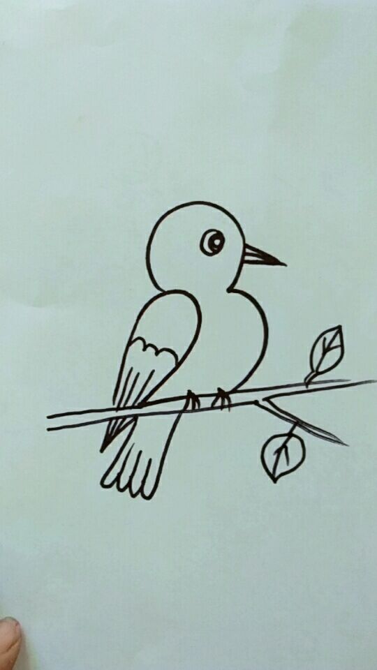 2和5组合画小鸟,简单有趣学起来