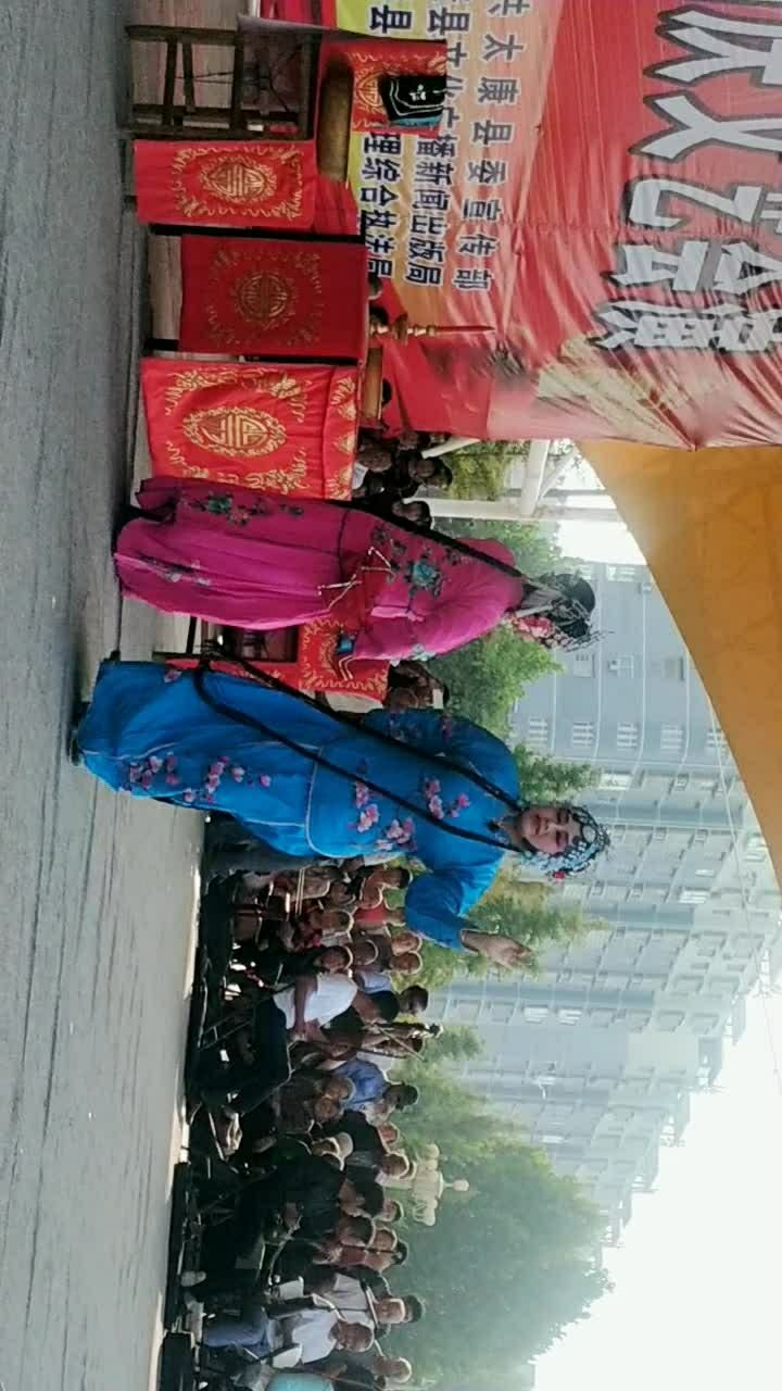 太康道情  经典名剧  王金豆借粮