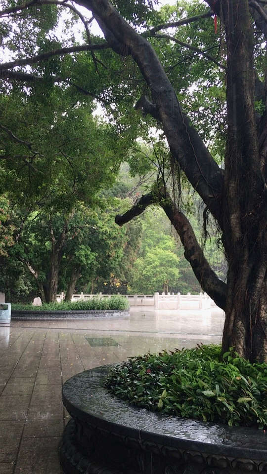 晴转雨