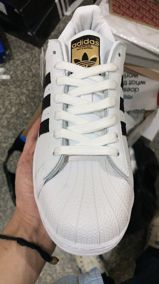 贝壳头 蛇纹金标