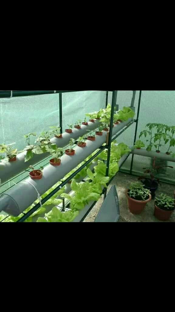 阳台也能种菜?一根pvc管,让全家人都吃不完!装修问题 微信:qijia-aw