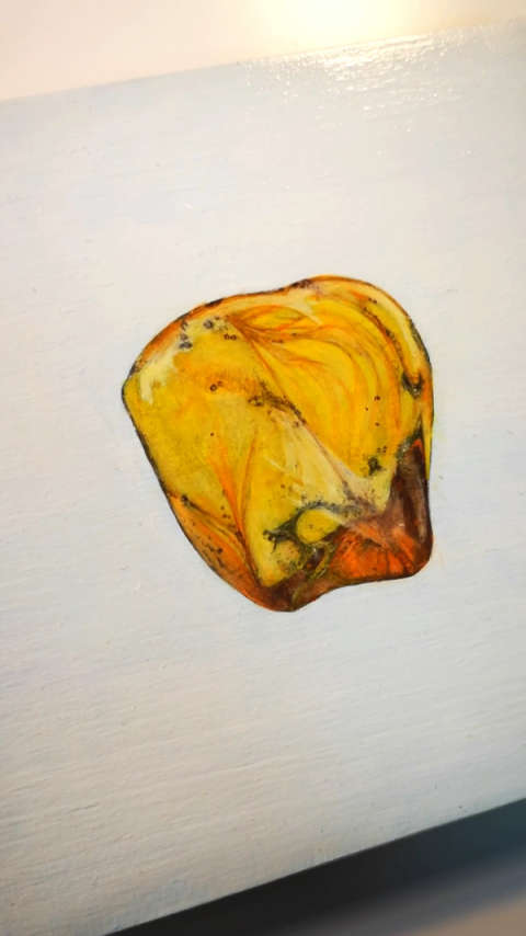 如何画一个琥珀? @经纪人小微