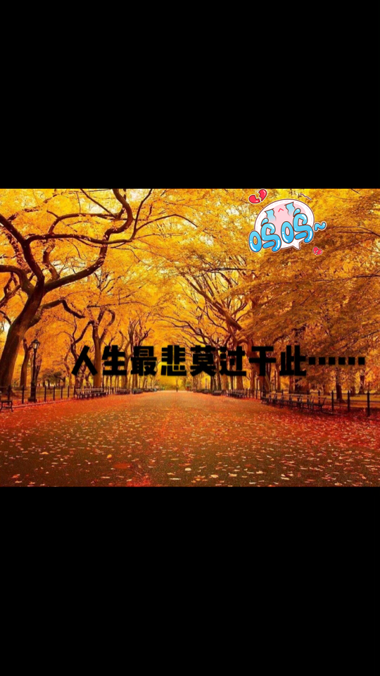 人生悲哀莫过于此……赞同嘛