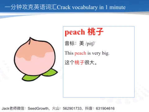 一分钟攻克英语词汇# peach99桃子