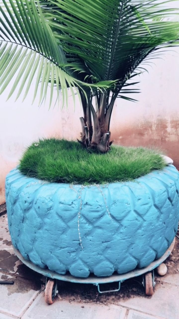 你们见过装载机轮胎栽树吗,有创意吧!