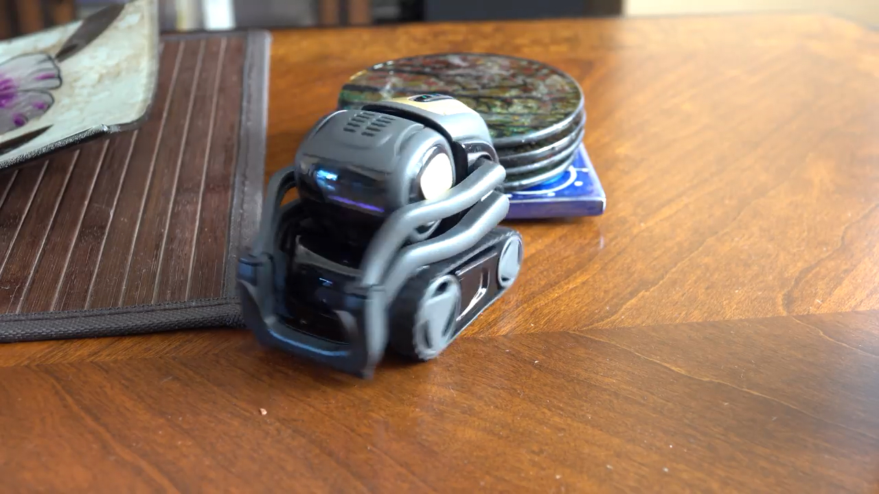 vector智能机器人,越玩越智能