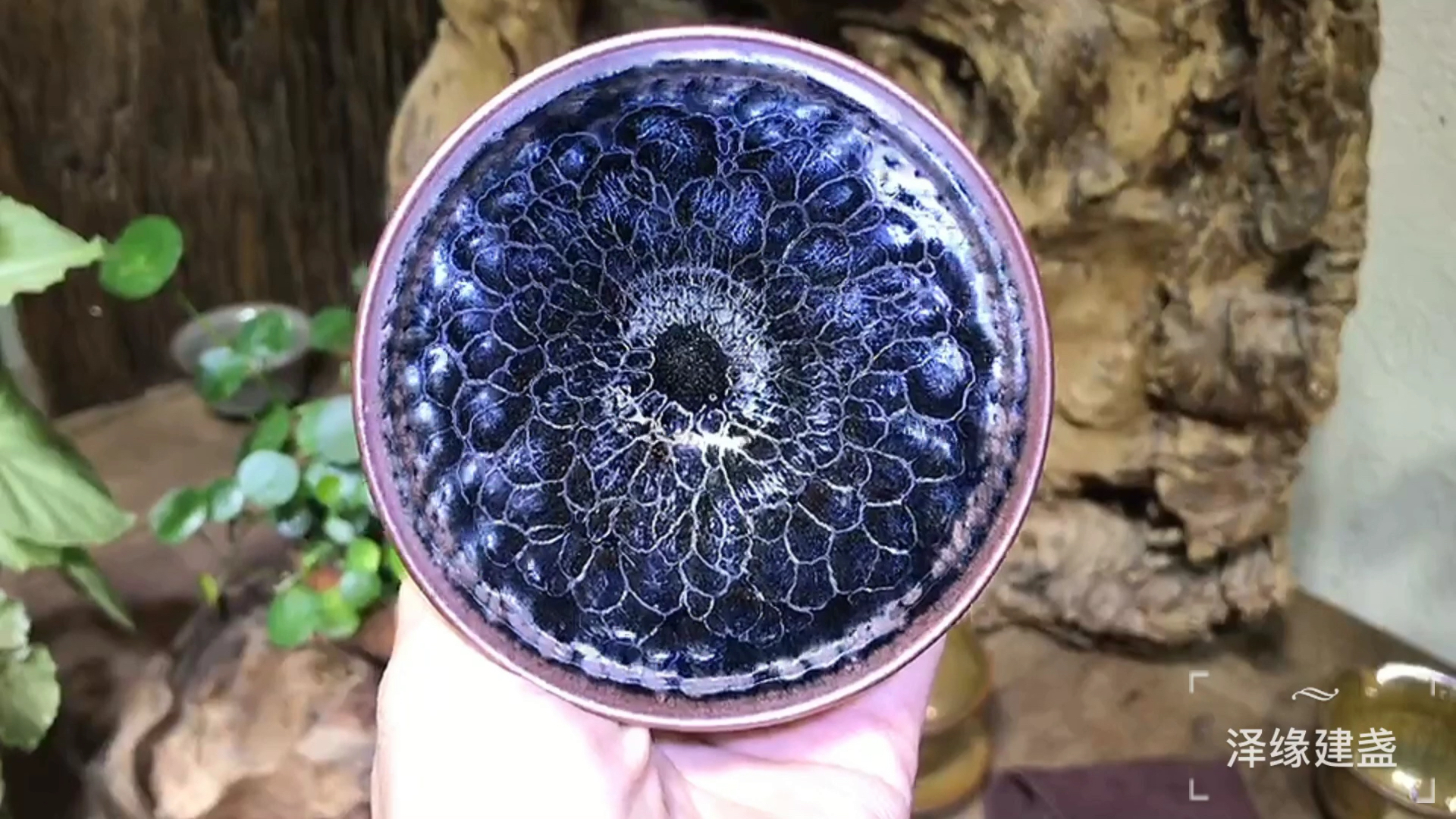 李左文-墨莲,口径9