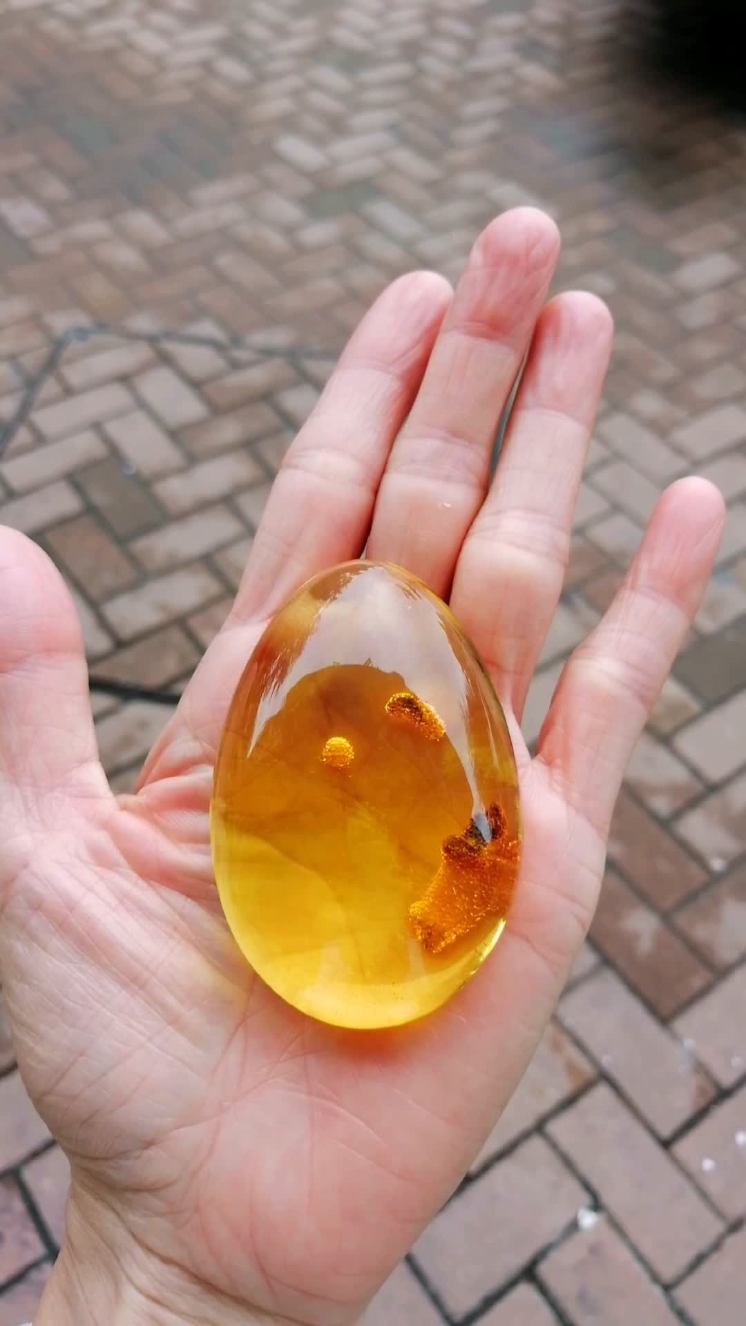 净水风景植物珀