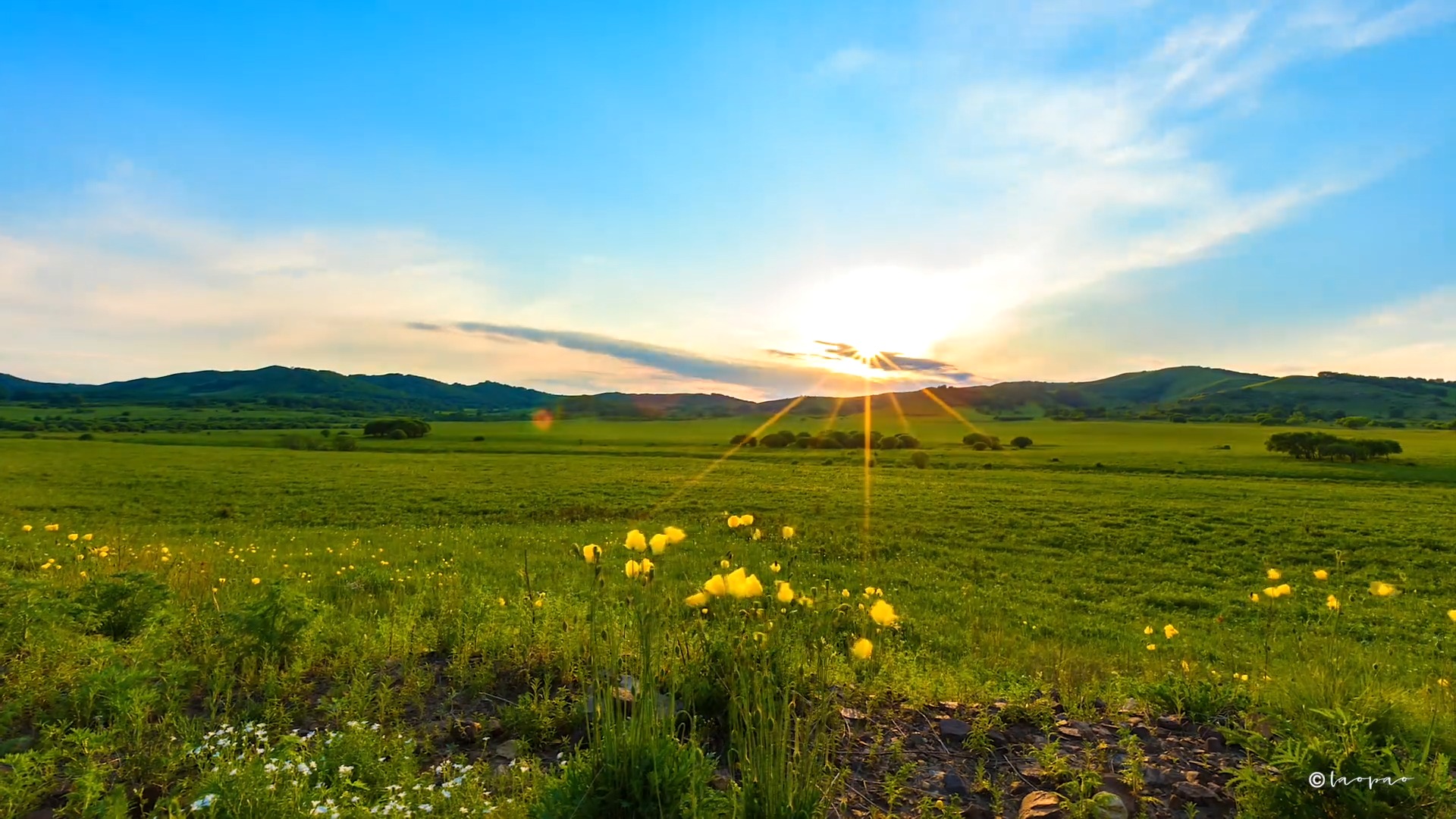 夏日的乌兰布统草原#夏天你好 #寻找最美旅行地