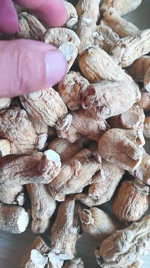 云南满泽西洋参粒头,大颗粒