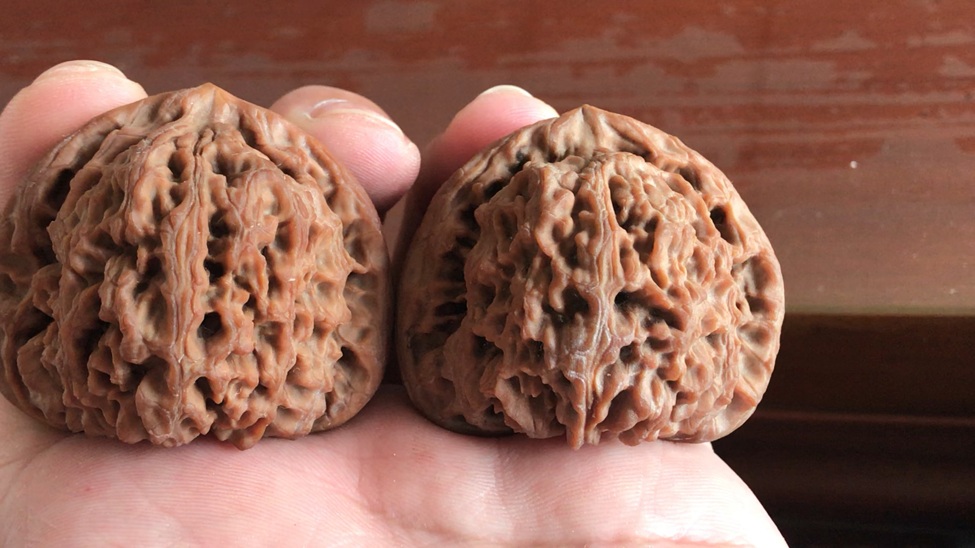 极品老树南疆石.尺寸49 太漂亮了