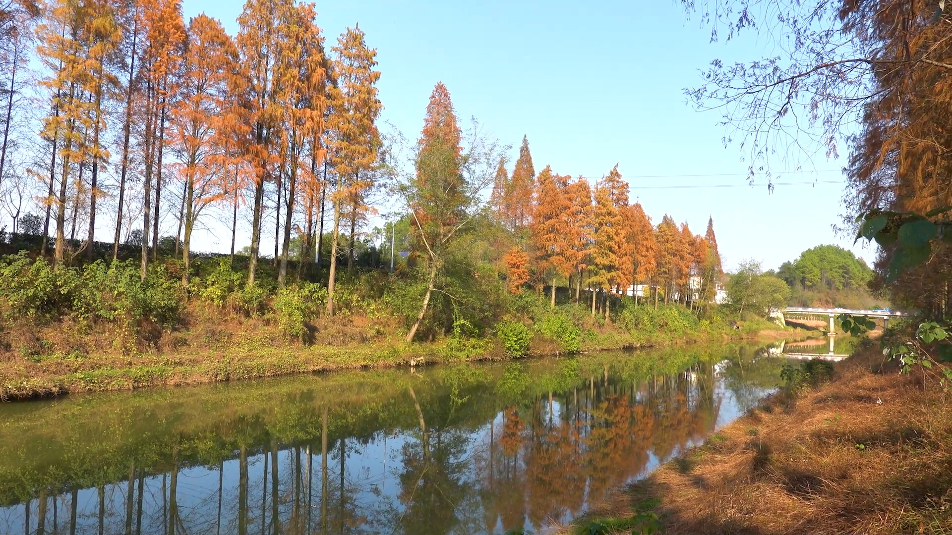 美丽乡村(长沙金洲村)