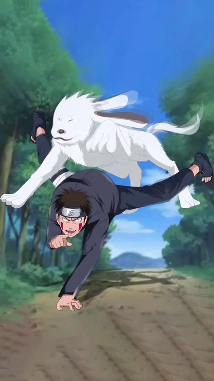 火影忍者 犬冢牙[赤丸]