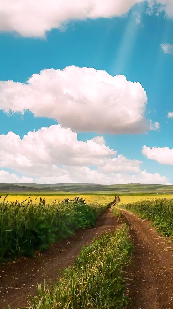 即使世界偶尔薄凉,内心也要繁花似锦.#治愈系美景