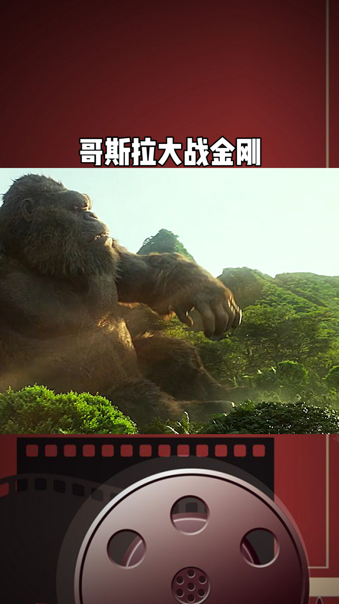 金刚最近在地心世界,每天睡醒就是奔跑,打怪练核酸#哥斯拉大战金刚