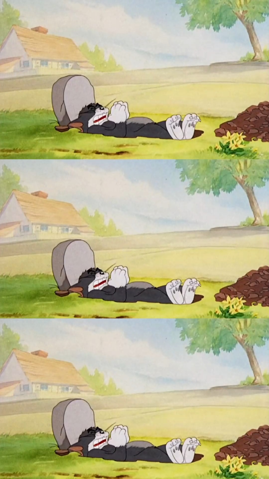 猫和老鼠 | 盘一下汤姆挖过的坑,你记忆里还有哪些吗?#猫和老鼠