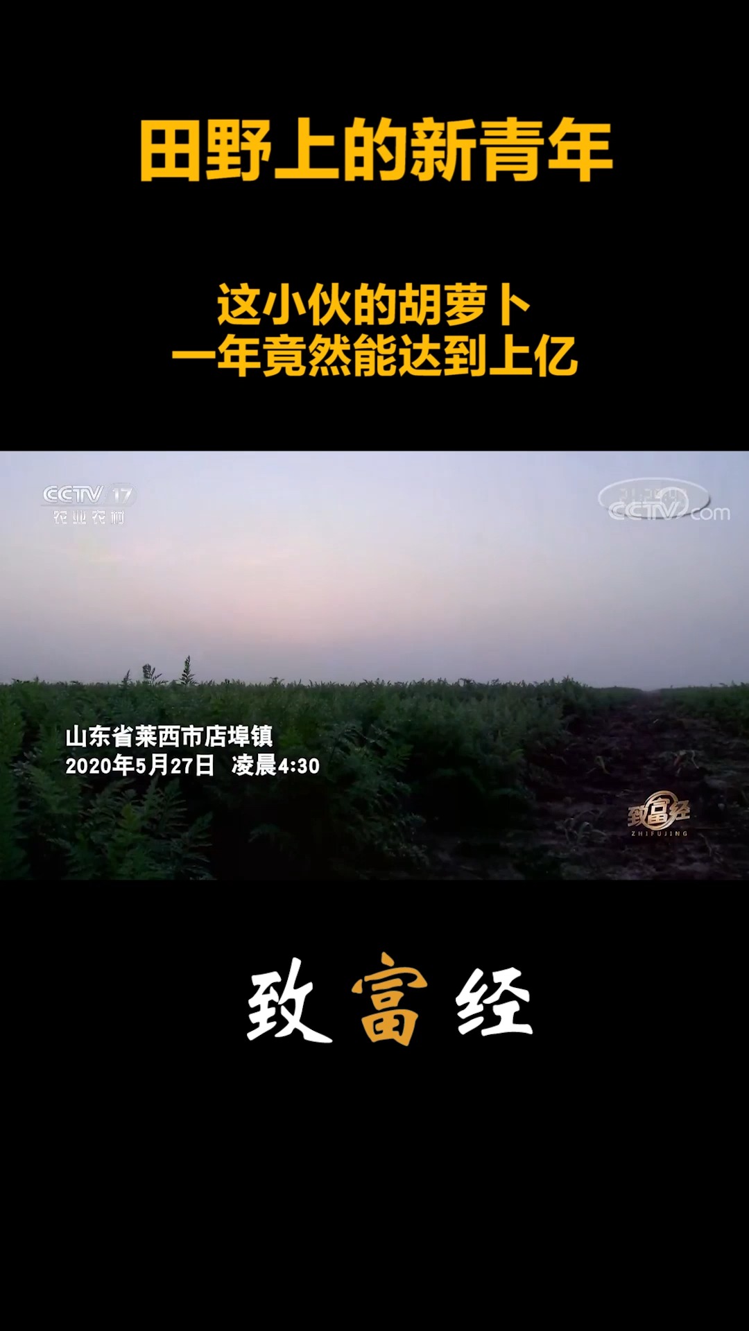 致富经播出时间2020的简单介绍