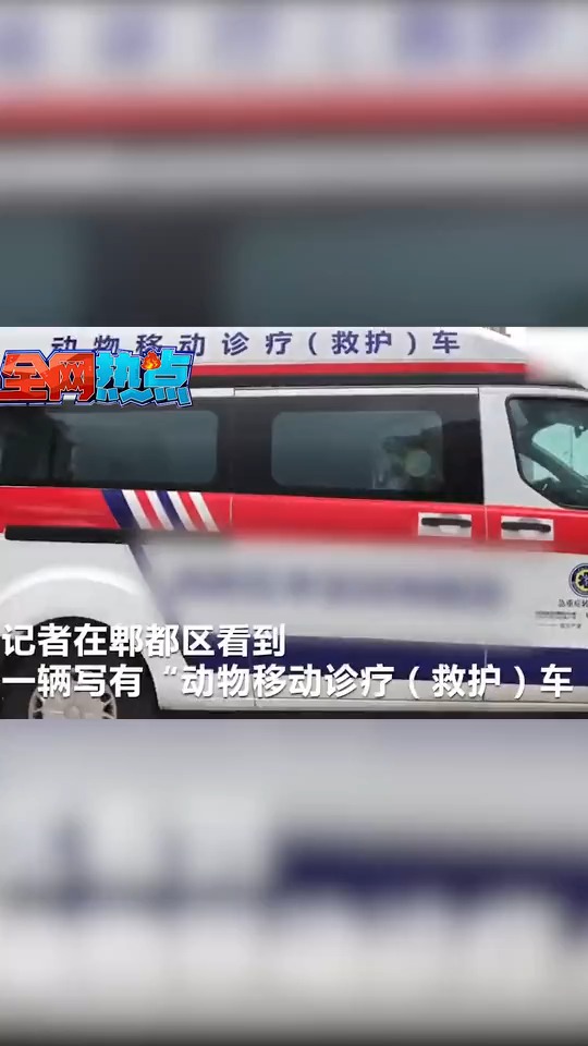 宠物救护车来了!可在车内进行急诊手术