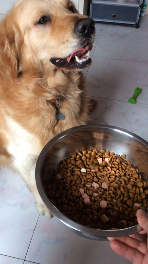 单身狗喂单身狗吃单身狗粮