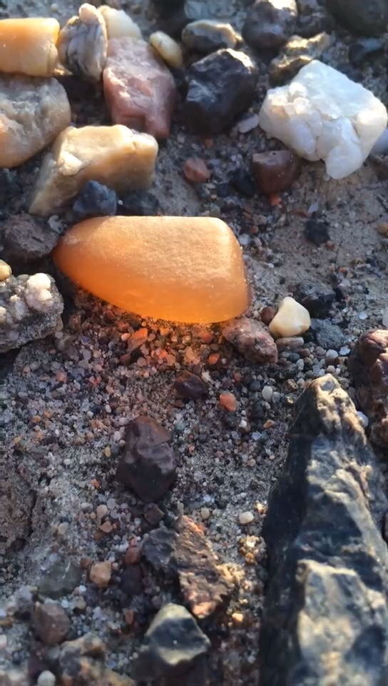 这是新疆克拉玛依戈壁滩捡石头,不一样的惊喜