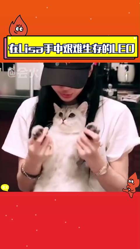 在lisa手中艰难生存的leo,每日强迫舞蹈练习