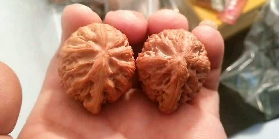 一条筋的核桃见过吗 一帆风顺>喜欢吗?9500点点爱心吧!