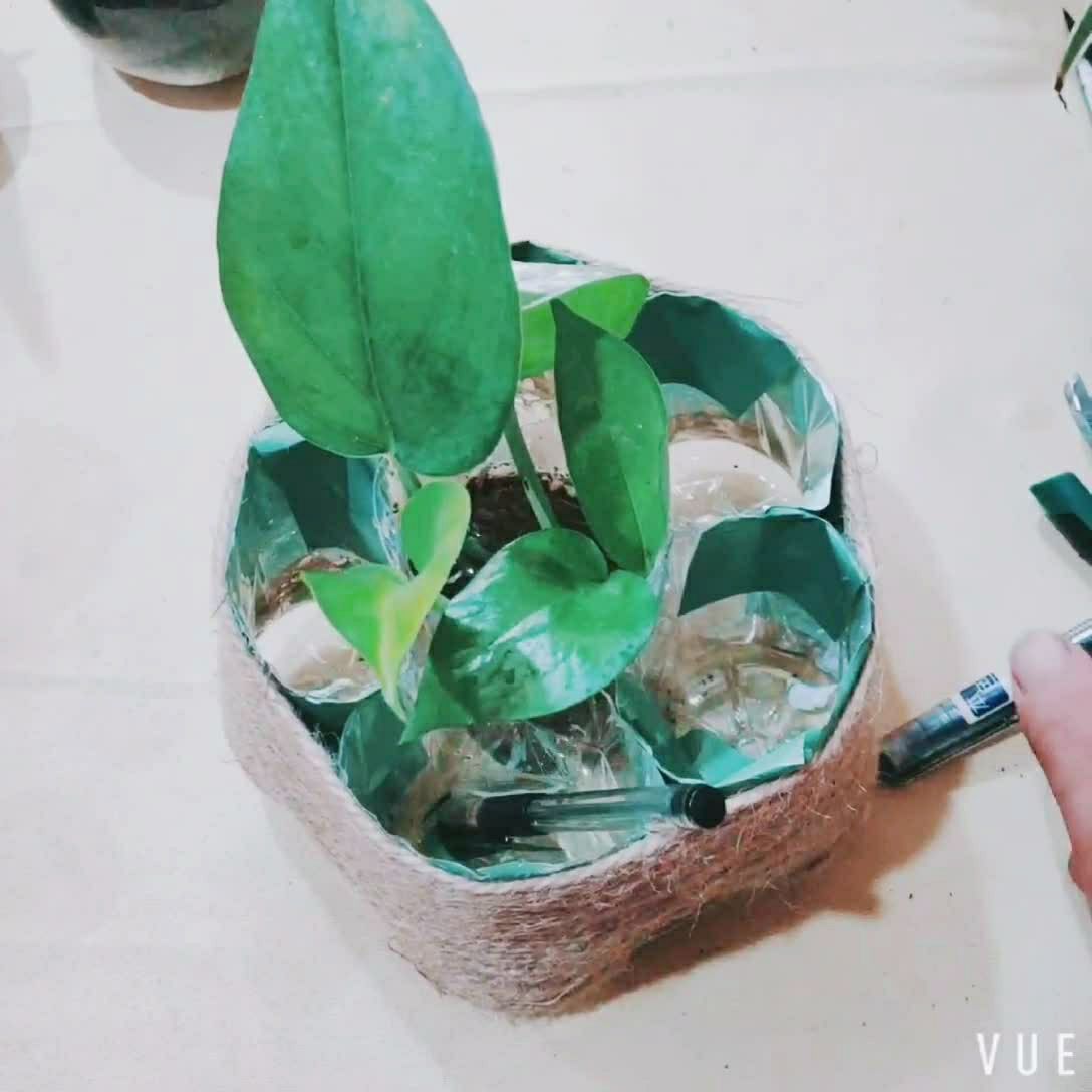 自制矿泉水瓶工具收纳盒,喜欢的朋友点个赞吧