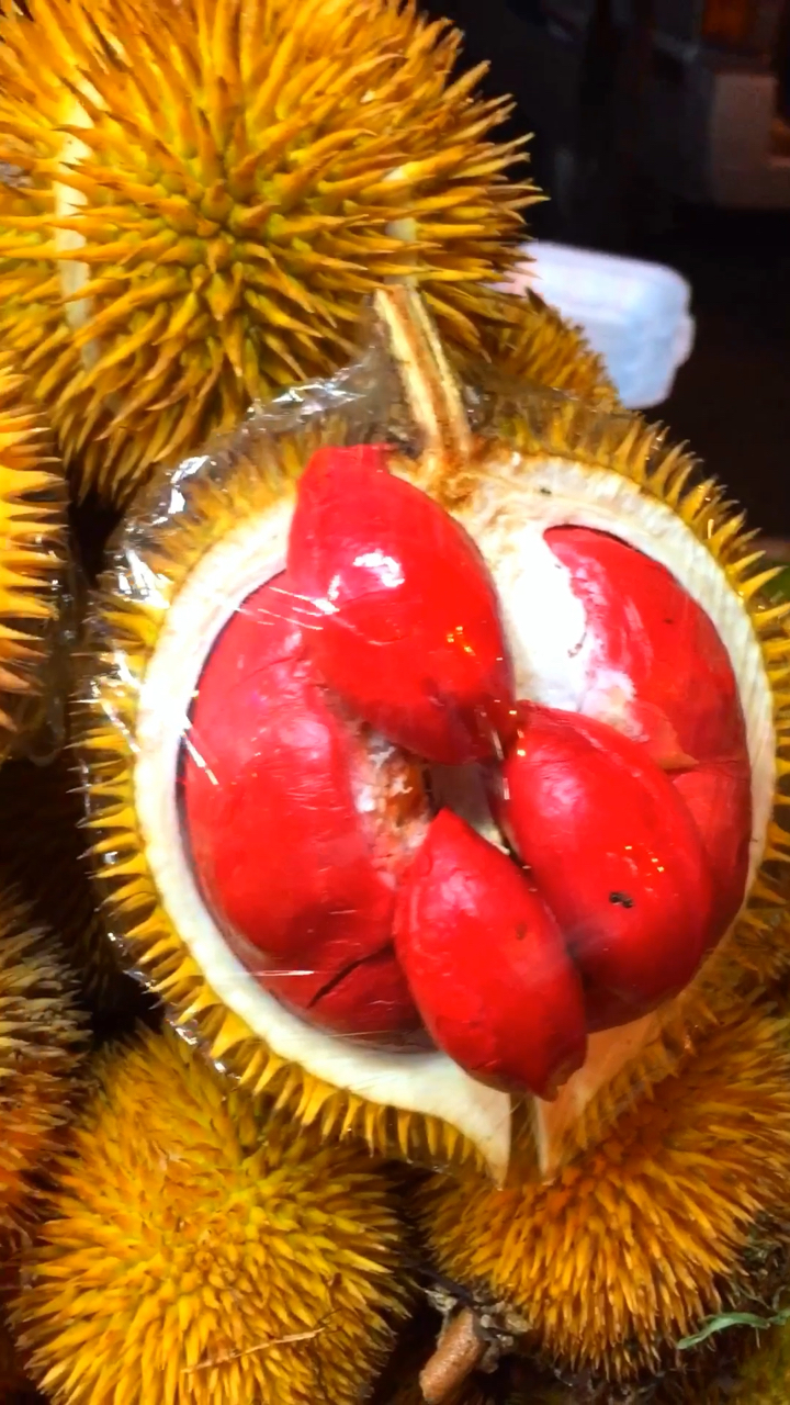 快来看看马来西亚的红色榴莲,浓醇的口感,令人回味无穷!