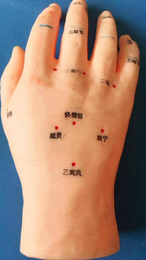 体内湿气过重的朋友,可以按压手背的乙窝风穴,每次3分钟,一天2次.