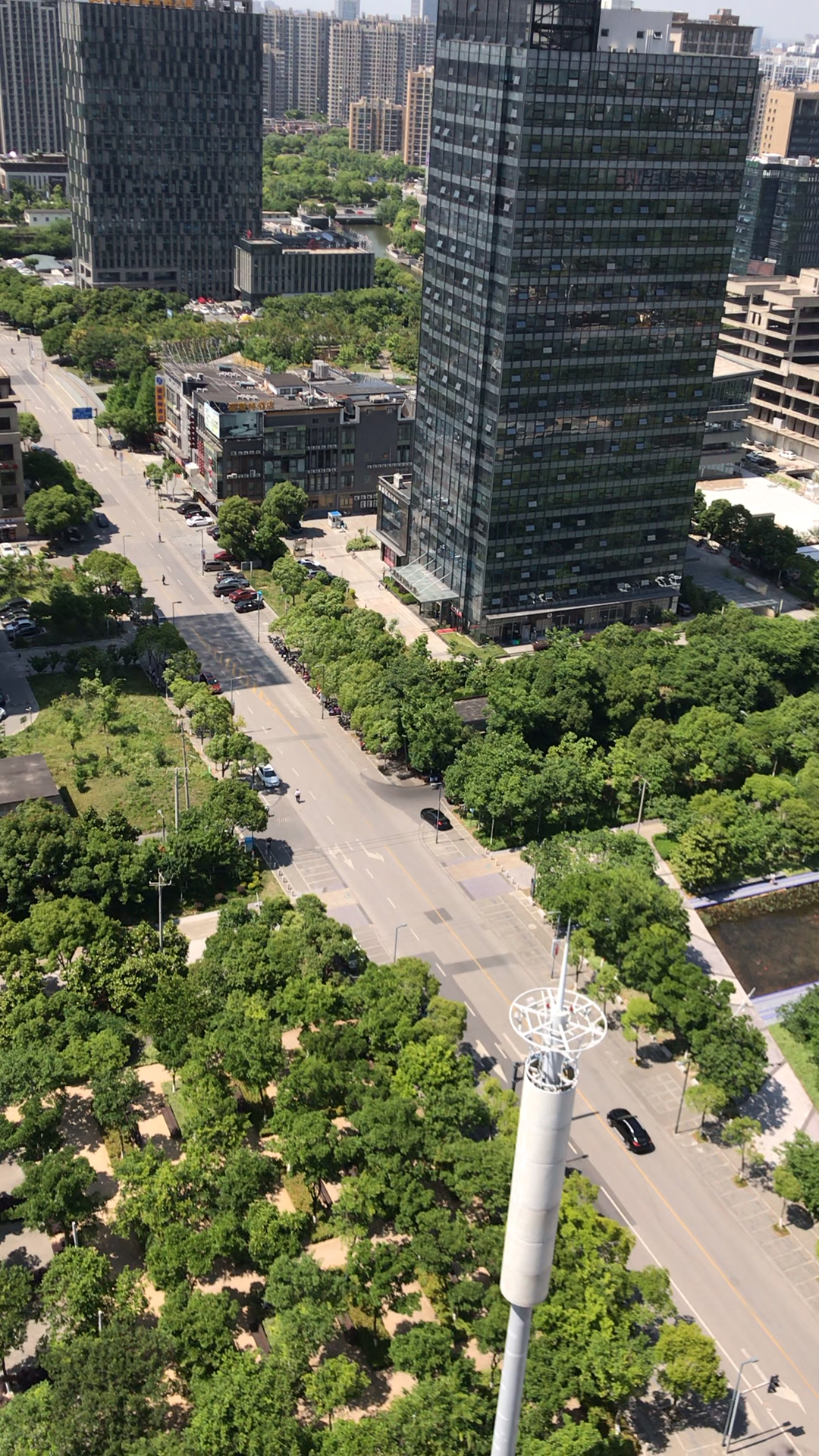 我家楼下的美景!