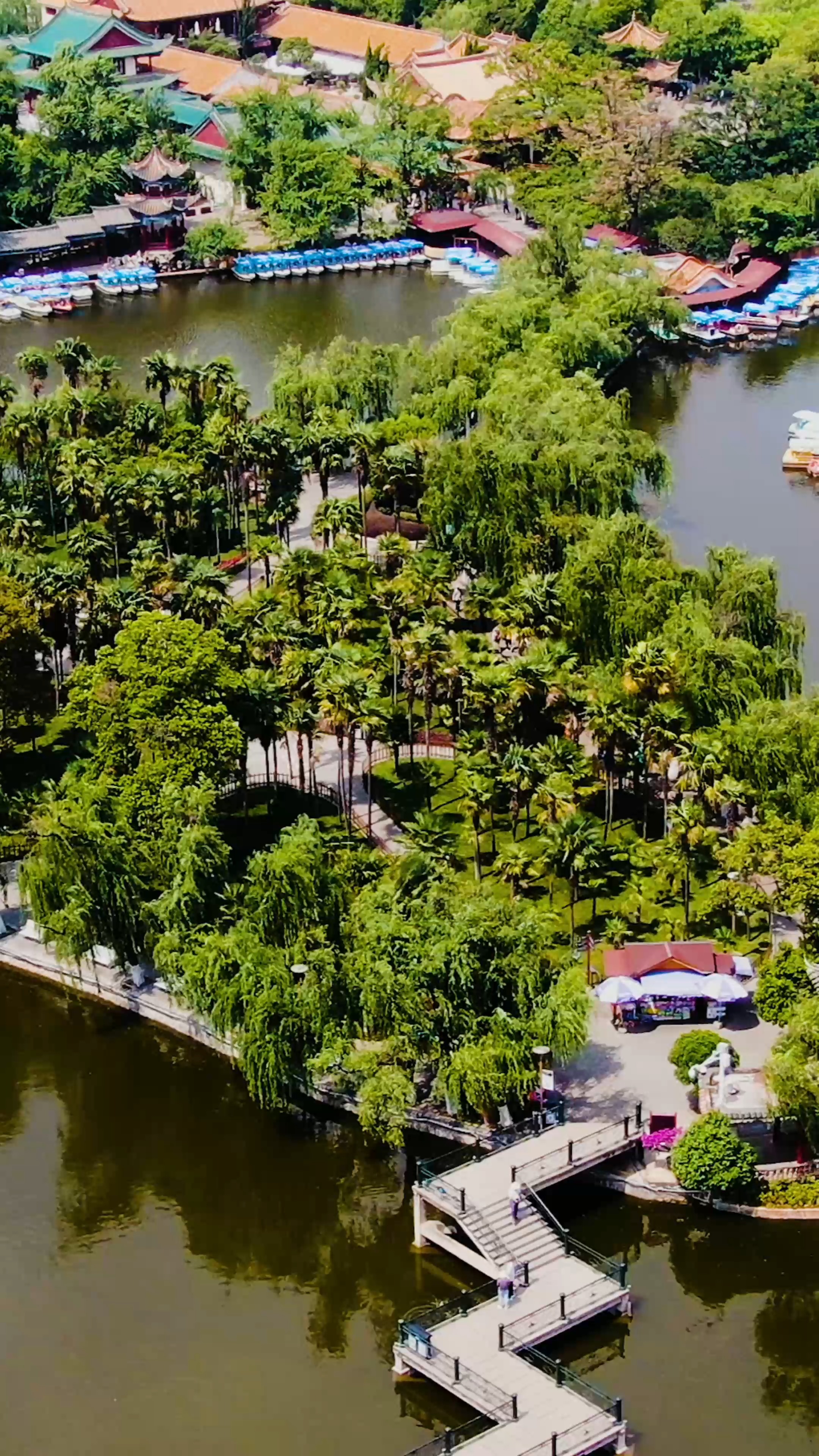 航拍昆明翠湖公园