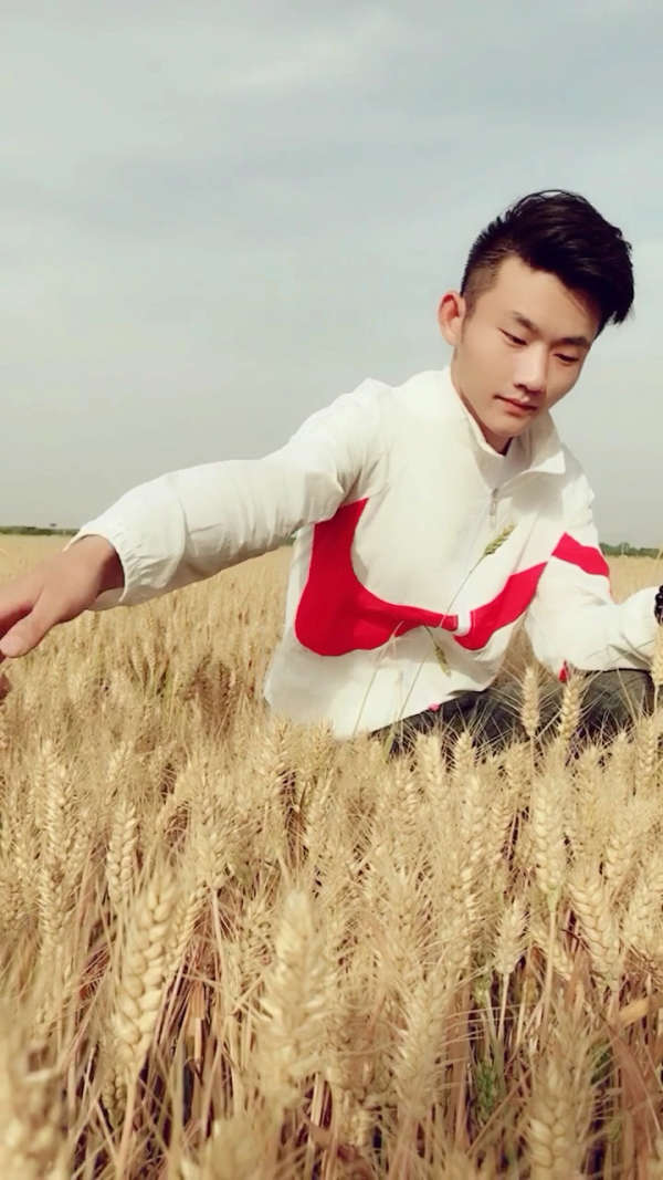 又到了一年一度收麦子的季节,看着周围黄登登的麦子,让我想起了以前的