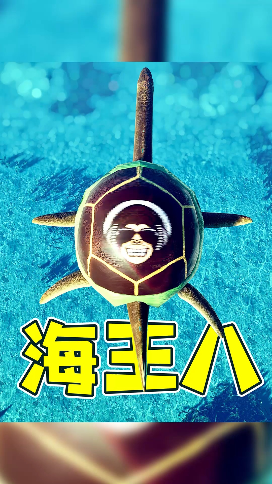 我创造了一个新物种,海王八!【养龙场世界6下】