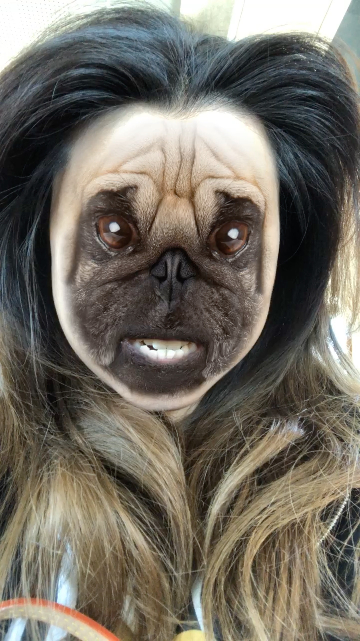 如果有一天 世界上人类都和动物结合变异了 该是什么样子