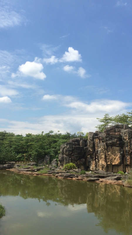 纯天然风景,画一样的美!无滤镜无ps,玉林龟山公园