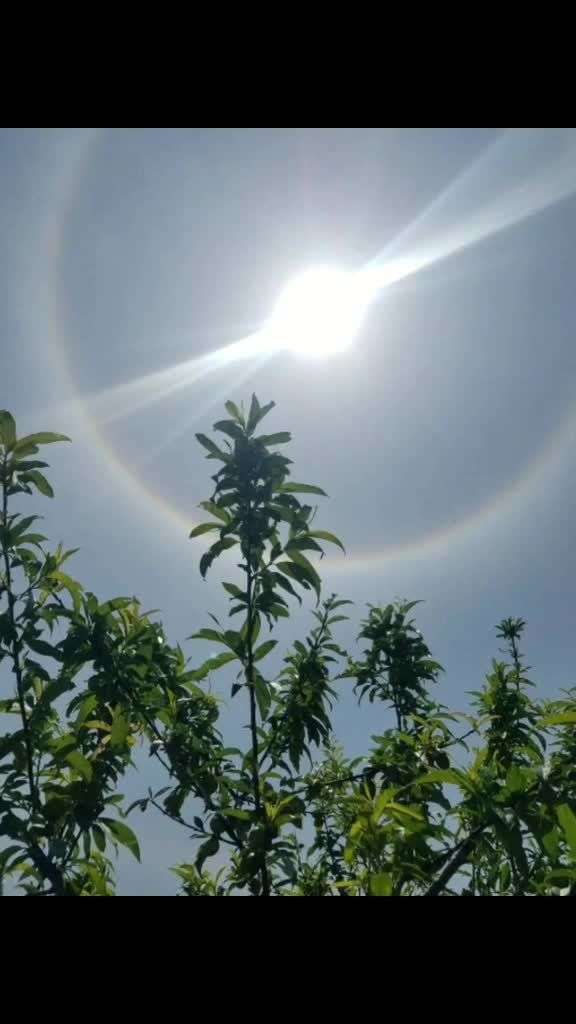 雨后的太阳风景图片