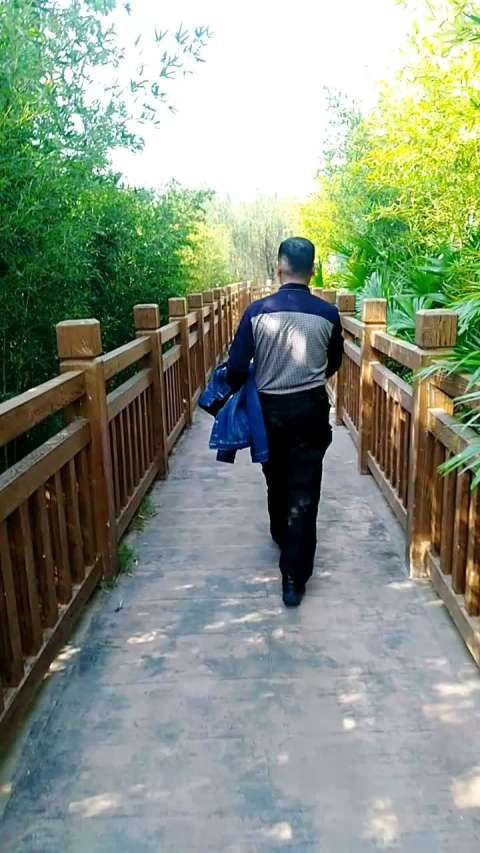 我的人生都是看背后风景,前面风景继续往前走.