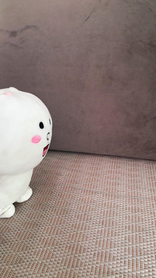 百变肯尼兔一整天可以干嘛?假期的它四处溜