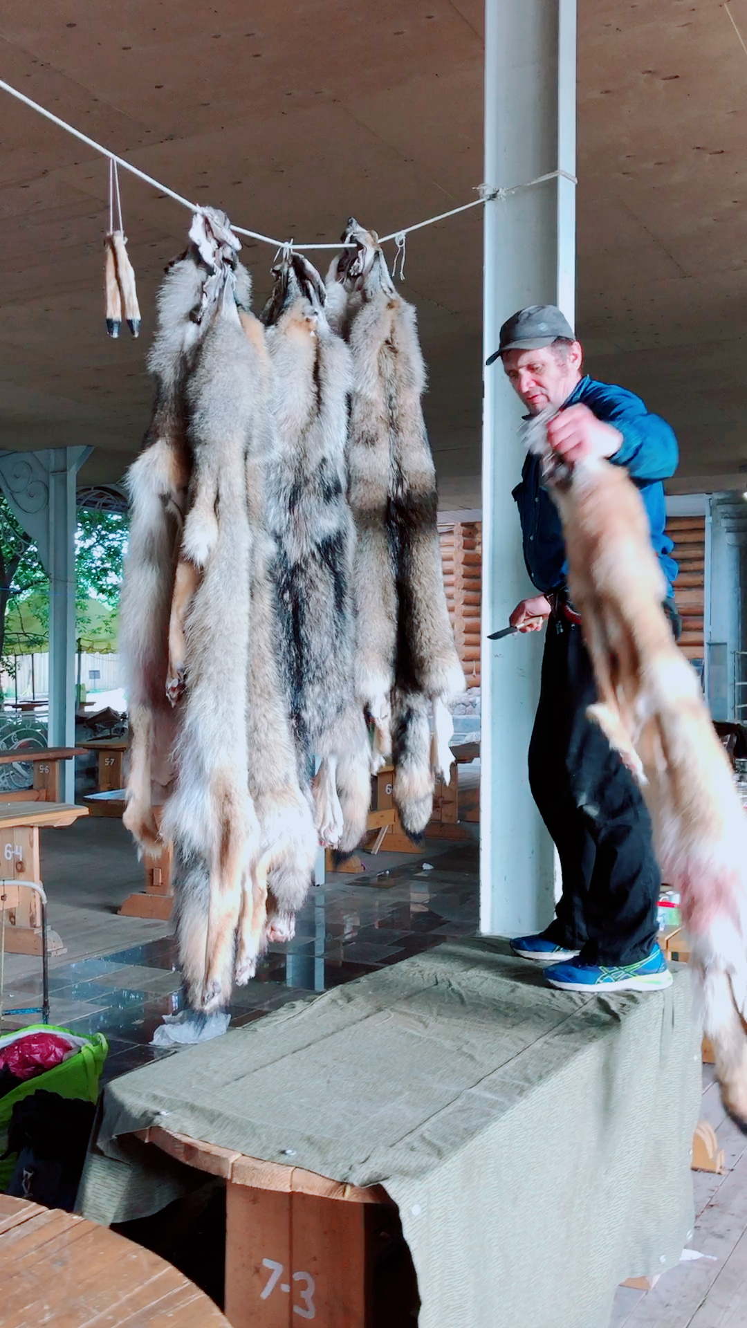 这位卖狼皮的俄罗斯大爷已经要准备收摊了