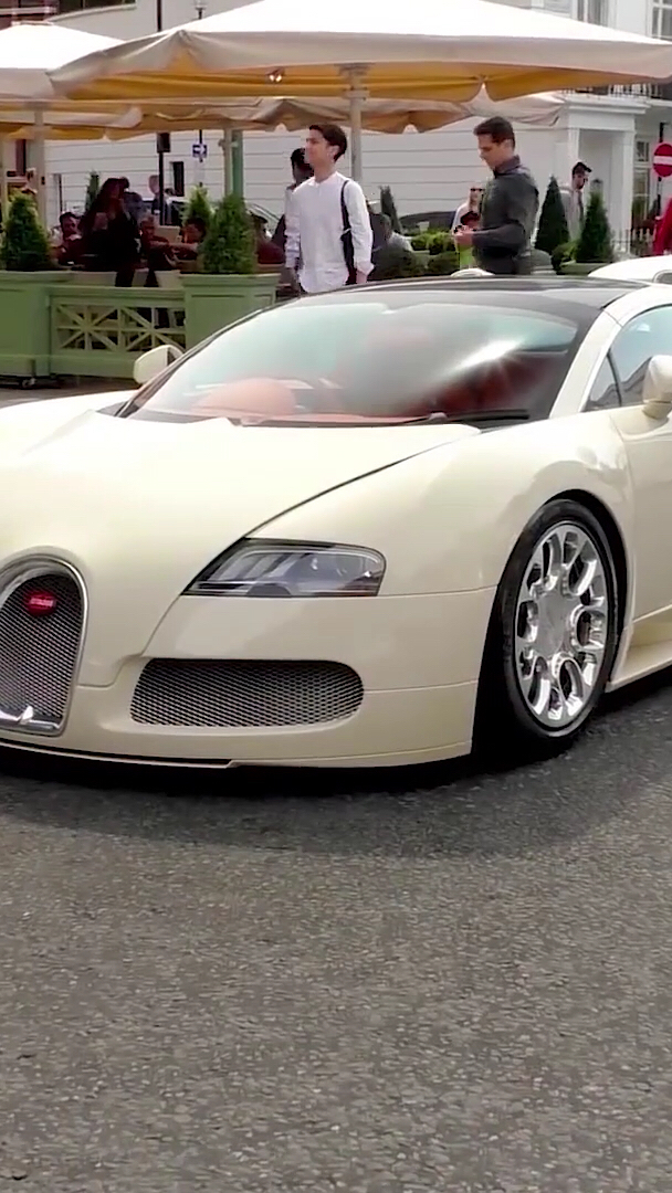 这种颜色的肥龙还真少见,但是好酷啊!