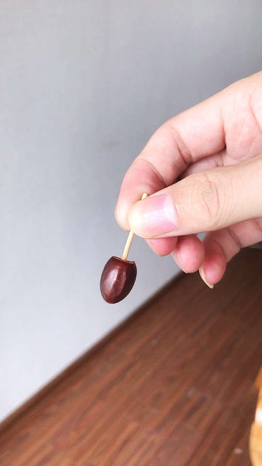 超级牛,荔枝核做的陀螺