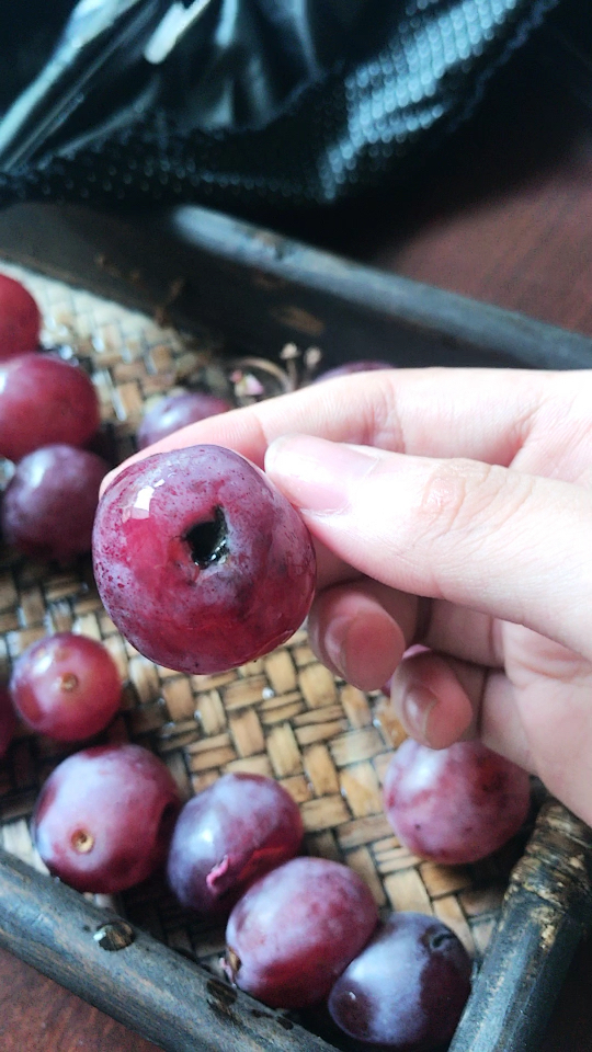 哎买的葡萄都是坏的,大家要注意咯!