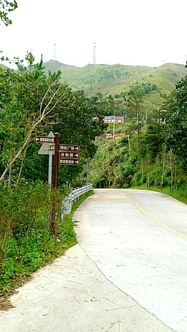 三华李之乡-信宜市钱排镇,路过的朋友们,点个赞!