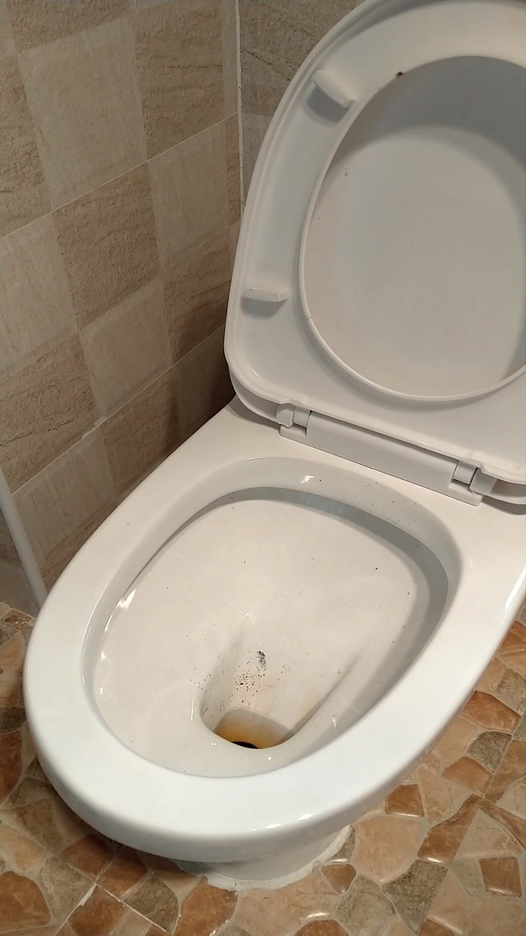 家里马桶异味太重怎么办?别着急,小妙招帮你解决