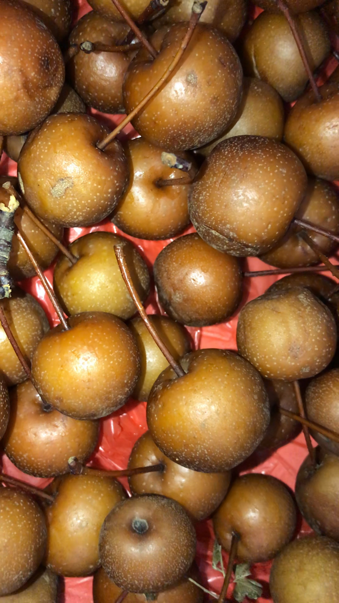 糖梨.要煲熟来吃的