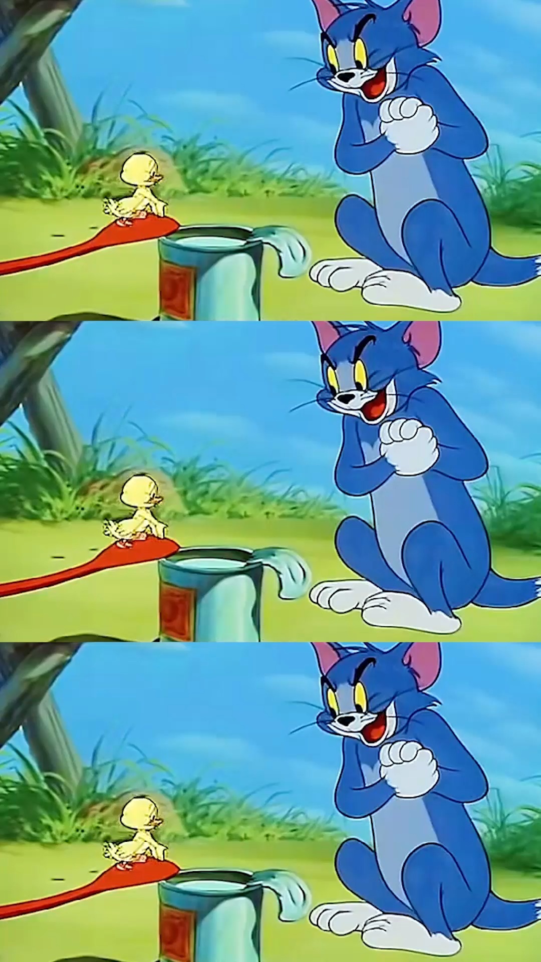 猫和老鼠丨一切为之努力的事情,在日后都有一个浪漫的结果#猫和老鼠