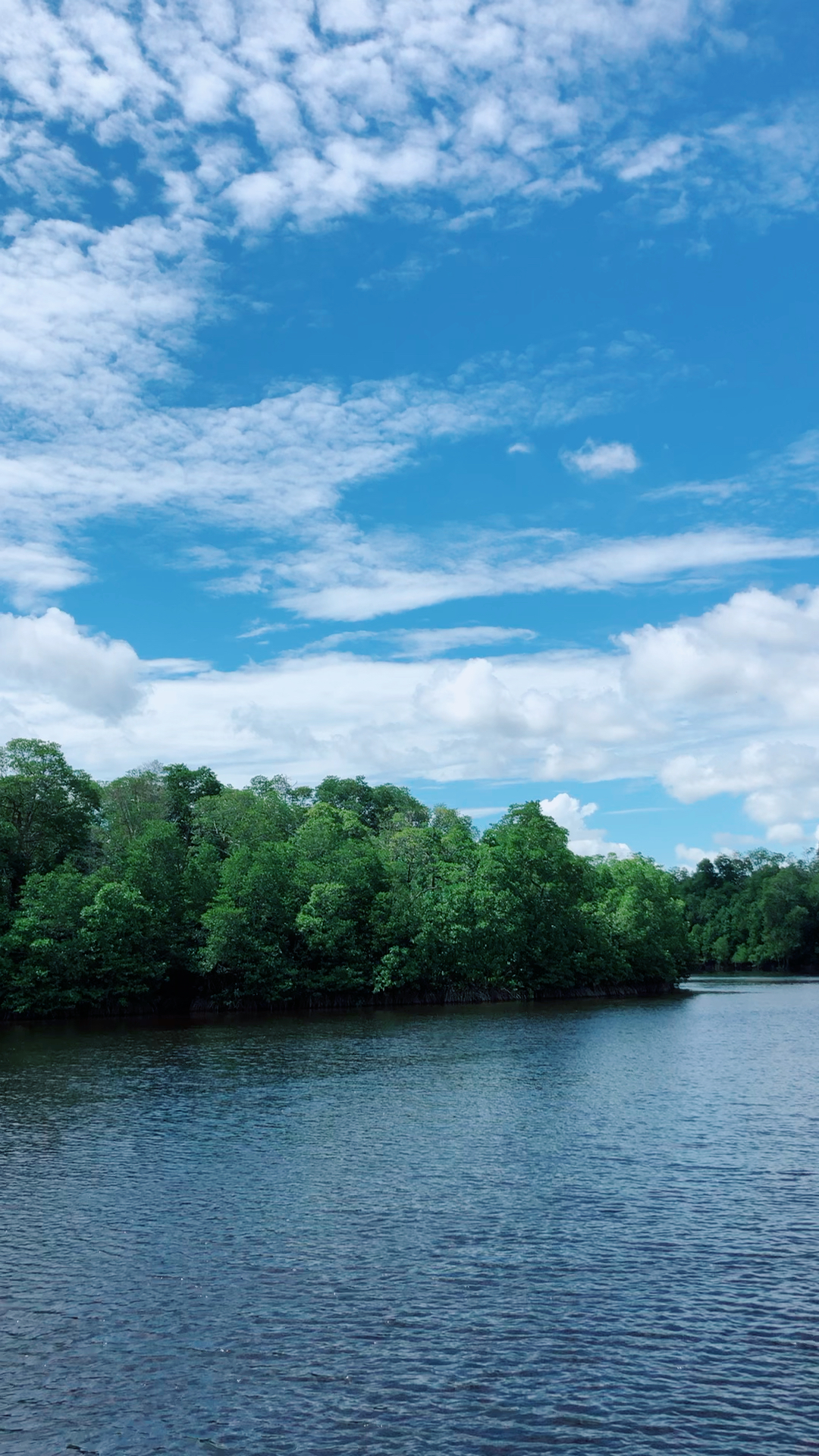 印尼加里曼丹岛燕窝部落产地一线 !