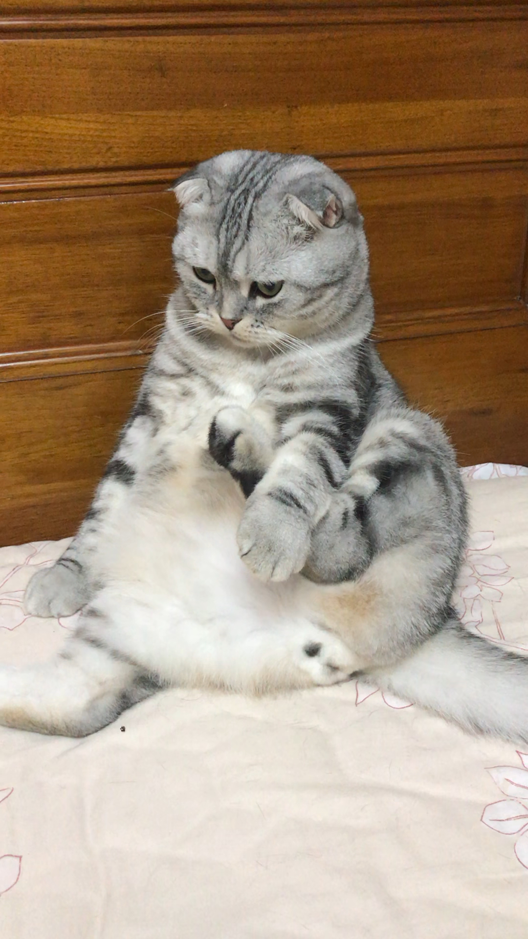 就这么傻不拉叽的坐了有10分钟!